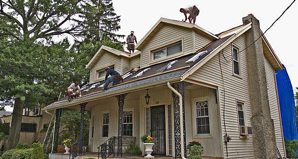 Best Roof Leak Repair  in Asbury, IA